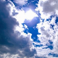 Александр Веселов