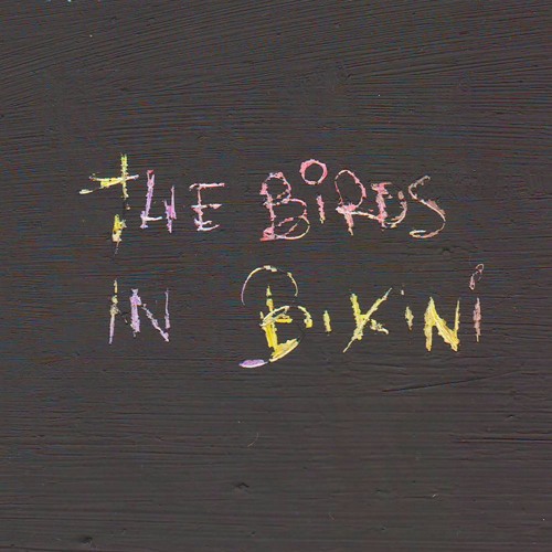 Bikini Birds 13
