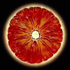 BadBloodOrange (Tom Darnell)