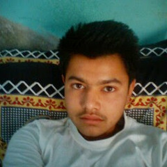 Daman Saini