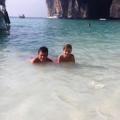 Willstevo