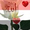امل حياتى