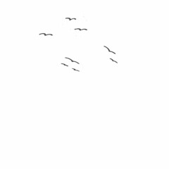 Akranesviti: Rými til tónsköpunar