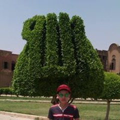 Mahmoud Sherif Selmi