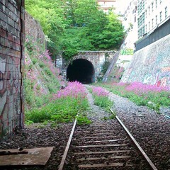 Clémo2cologne
