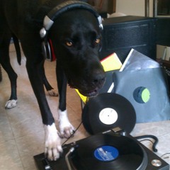 paul spancer classics