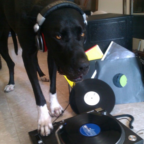 paul spancer classics