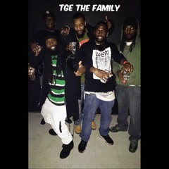 TGE THE FAMILY