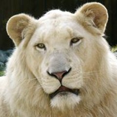 Joseph Rudolph Tagarira