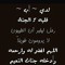 Amel Elgamal