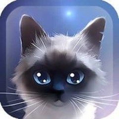 Halo Cat