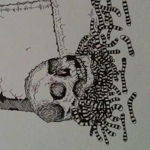 Osedax mucofloris’s avatar