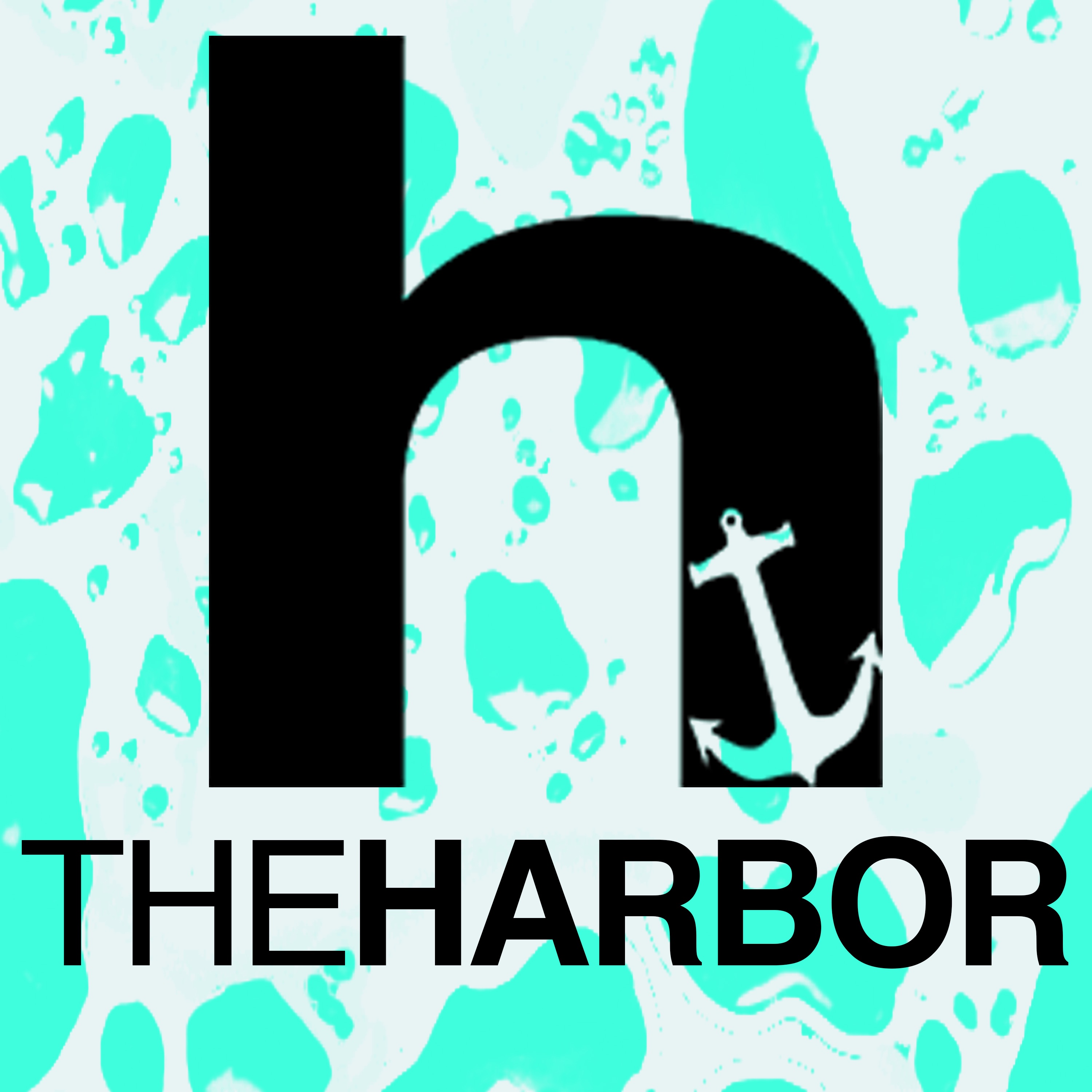 The Harbor