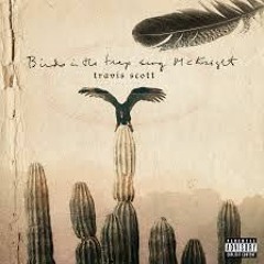 Travis Scott Birds in the trap sing mcknight