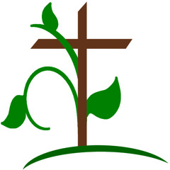 Academia Cristo