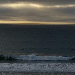 lil_b3ar_se lil_b3ar_se