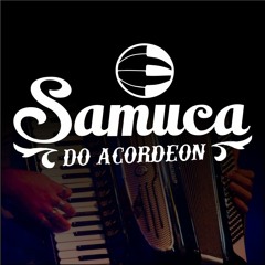 Samuca Do Acordeon