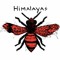 Himalayas