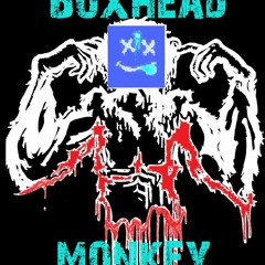 Boxhead Monkey