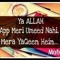 Rabia Amna Hussain