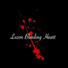 Luzon Bleeding Heart