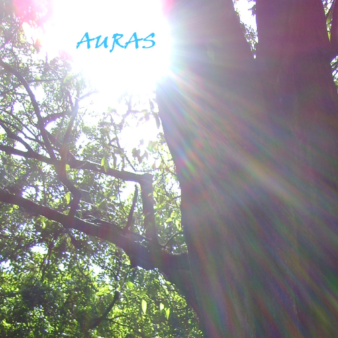 Auras Album Sample Pack