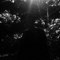 Wernertheproducer