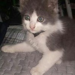 Cristofer Alejandro