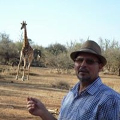 Emad Elfouly Shamroukh