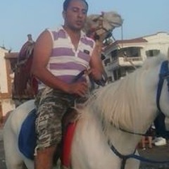 ayman foush