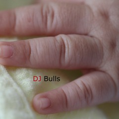 DJ Bulls