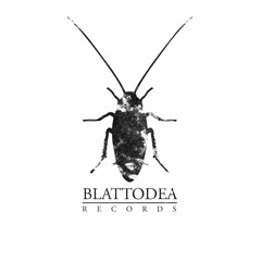 Blattodea Records