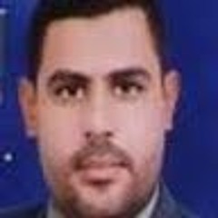mohamed sakr