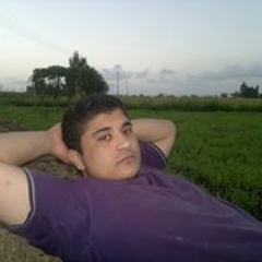 Hasan Shehata