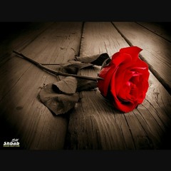 هلا بالي سرق نومي