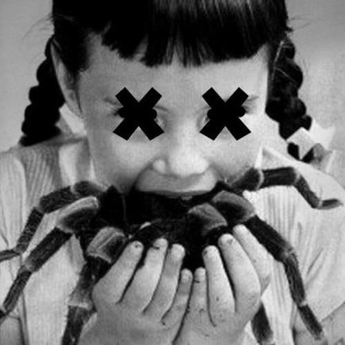 Редан паук 2. Таблетки от арахнофобии. Арахна айзек. Это паук алиса. Алиса паук гоша.