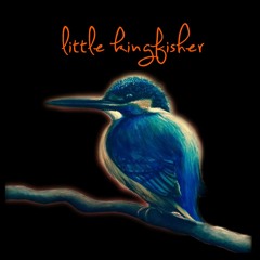 Little Kingfisher Music