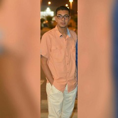 Omar Hesham 114