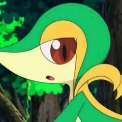 PrinceSnivy24