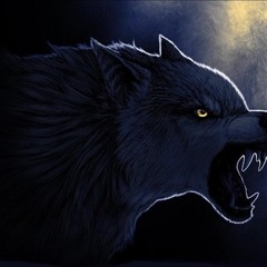 Wolf Gang Production