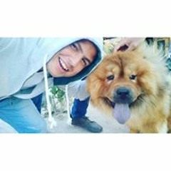 Mahmoud Abd El Baky