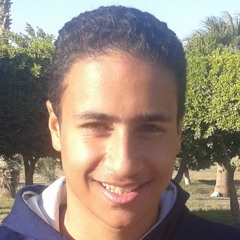 Mostafa Elgmal