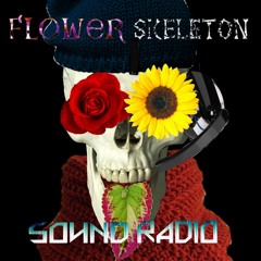 The Flower Skeleton Sound Radio