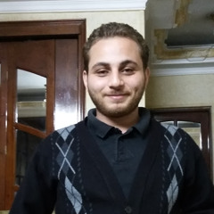 Mohamed Al-Qutb