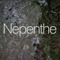 Nepenthe.