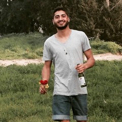 Yariv Levi 2