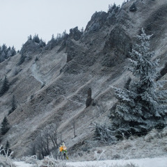 Natureza