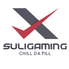 suli gaming