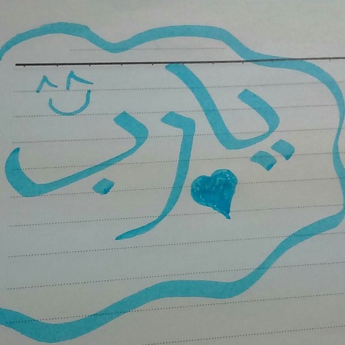 ألبوم طائر النورس