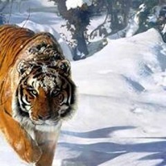 اغاني اعشقها